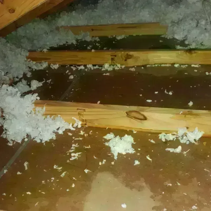 Attic Water Damage in Templeton, MA